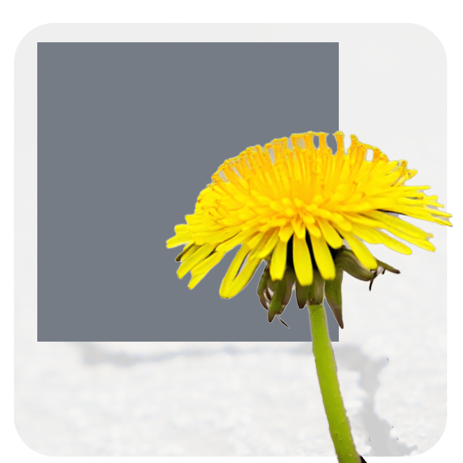 How EdTech Companies Can Build Through Funding Delays in 2025